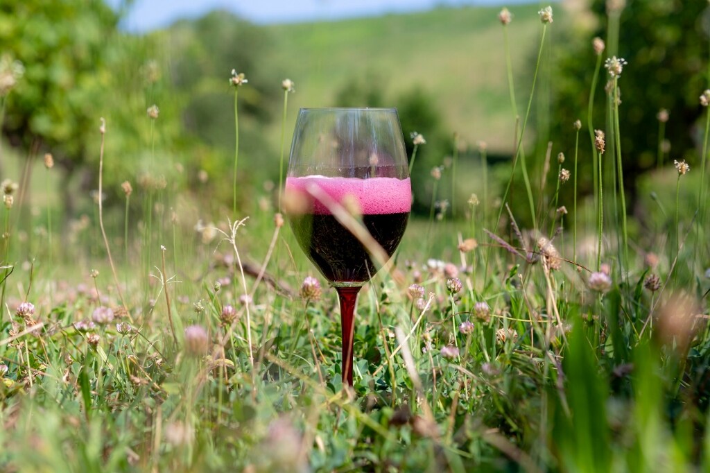 Lambrusco ricetta Lambrusco