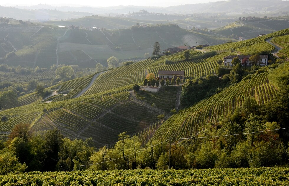 Moscato d’Asti e Asti spumante