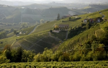 Moscato d’Asti e Asti spumante