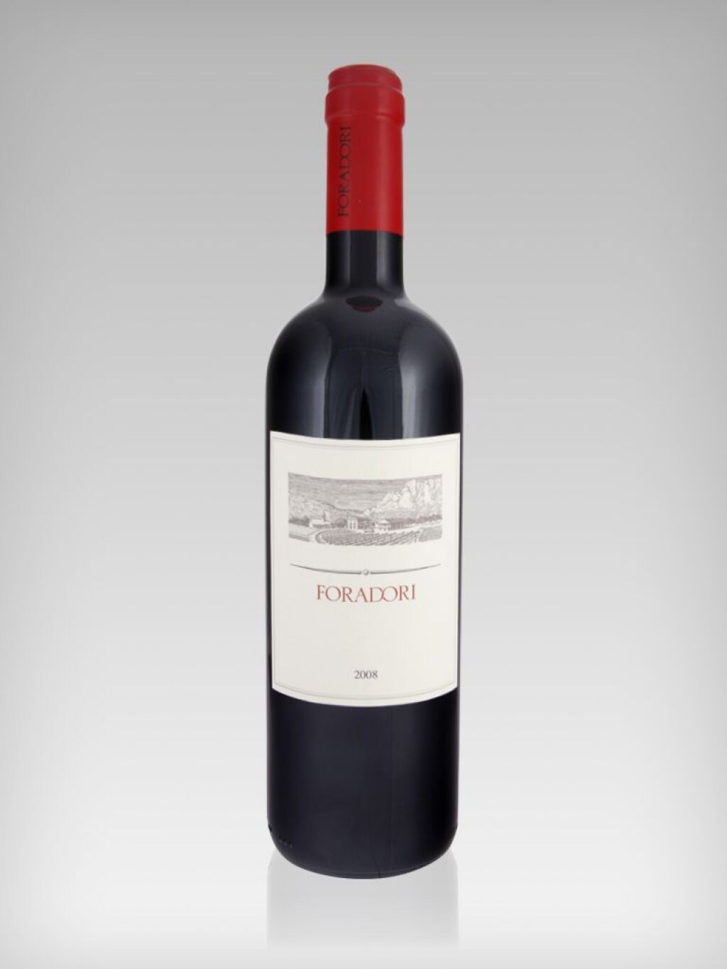 Teroldego Rotaliano Foradori ricetta Teroldego Rotaliano Foradori