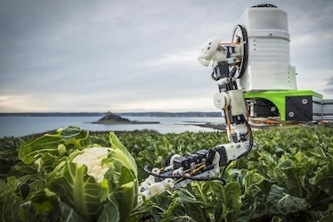 Robot, intelligenze artificiali e semi smart aiuteranno i contadini a coltivare il cibo del futuro