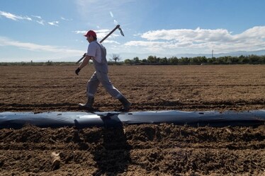 No-till farming, ovvero: come coltivare un campo senza ararlo e ridurre le emissioni