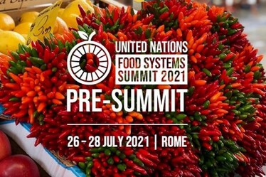 È in corso a Roma il Pre Summit della FAO sui Sistemi alimentari. Ecco di cosa si tratta