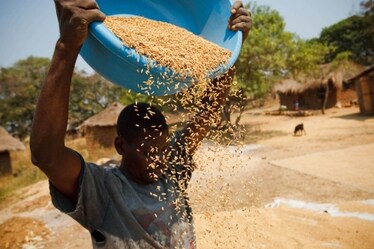 Appuntamento il 23 settembre a New York con il Summit FAO per un cibo che inquini meno