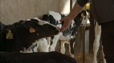 La sostenibilità di Latteria Soresina è una lunga storia d’amore per il territorio