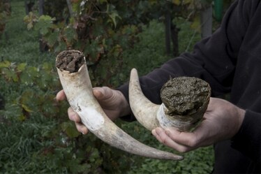 Cos’è l’agricoltura biodinamica, perché divide e perché se n’è parlato alla Camera