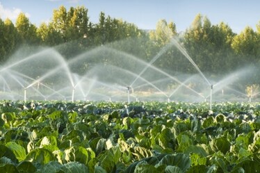 Giornata mondiale dell’acqua: perché è una risorsa sempre più in crisi e come possiamo difenderla
