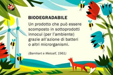 Biodegradabile