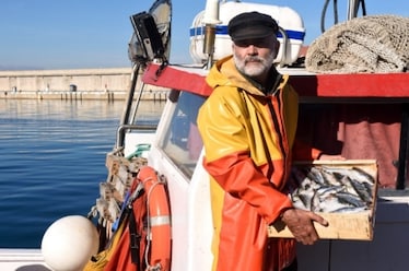 Perché mangiare pesce sostenibile è molto importante per la salvaguardia del mare