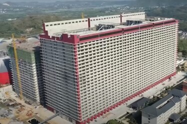 Aperto in Cina l’allevamento intensivo più intensivo di tutti: due grattacieli con dentro 1,2 milioni di maiali