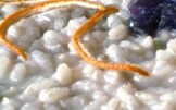 Risotto al pompelmo