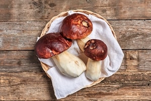 Preparazione Porcini fritti - Fase 1