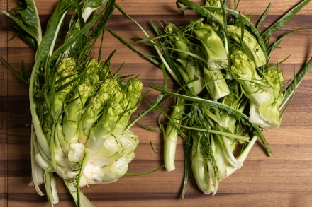 Preparazione Insalata di puntarelle - Fase 1 Preparazione Insalata di puntarelle - Fase 1