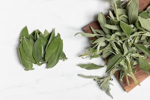 Preparazione Salvia fritta - Fase 1