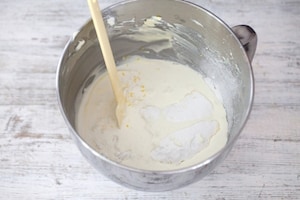 Preparazione Cheesecake - Fase 3