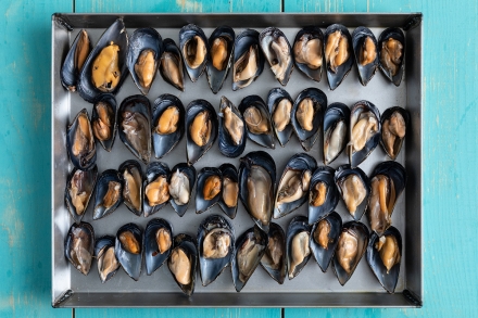 Preparazione Cozze arraganate - Fase 1 Preparazione Cozze arraganate - Fase 1