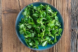 Preparazione Insalata di ceci e songino alla senape - Fase 1