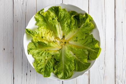 Preparazione Insalata estiva rossa e verde al lime - Fase 3 Preparazione Insalata estiva rossa e verde al lime - Fase 3