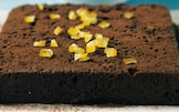 Marquise al cioccolato e arancia candita