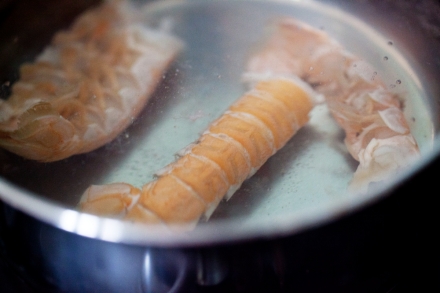 Preparazione Scampi con salsa di agrumi - Fase 2 Preparazione Scampi con salsa di agrumi - Fase 2