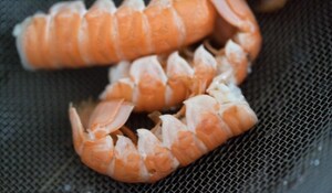 Preparazione Scampi con salsa di agrumi - Fase 3