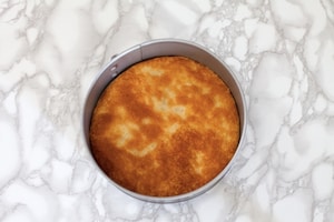 Preparazione Torta di nocciole e crema gianduia - Fase 4