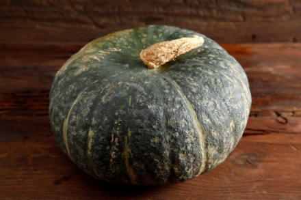 Preparazione Vellutata di zucca - Fase 1 Preparazione Vellutata di zucca - Fase 1