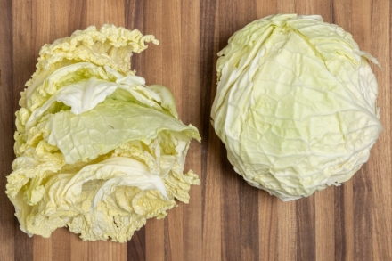 Preparazione Verze in padella - Fase 1 Preparazione Verze in padella - Fase 1