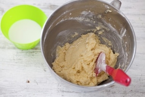 Preparazione Plumcake al limone - Fase 3