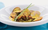 Vongole in fricassea