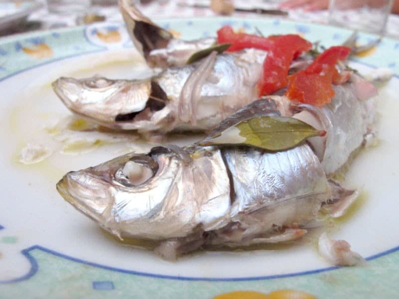 Sarde al pomodoro e aromi ricetta