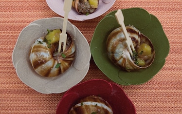 Babagnei al vino rosso