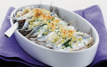 Gratin d'acciughe