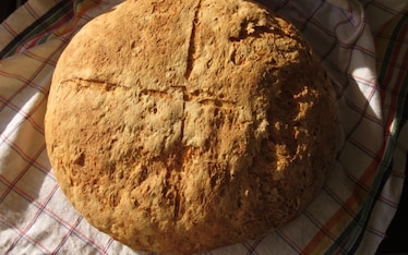 Pane di kamut e granella di farro
