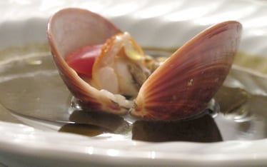 Fasolari al vapore in brodo di carciofi