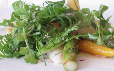 Segni e gesti: radici e orto