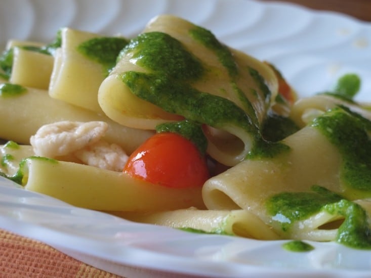 Paccheri dei Campi con ragù di gallinella e pesto leggero ricetta