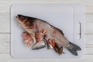 Preparazione Fumetto di pesce - Fase 1