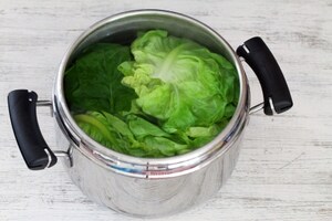 Preparazione Salmone con ragù di zucchine - Fase 2