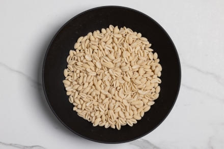 Preparazione Malloreddus al pecorino - Fase 1 Preparazione Malloreddus al pecorino - Fase 1