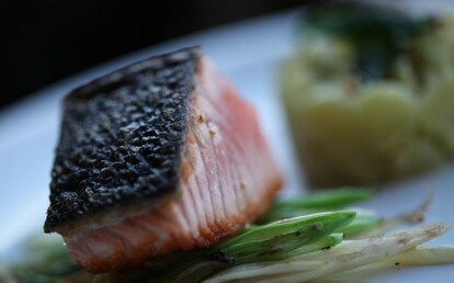 Salmone, pop corn di Quinoa e menta fritta