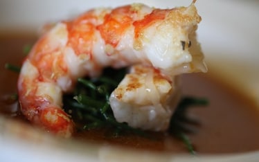 Gamberoni, salicornia e lime