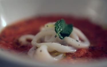 Gazpacho alla menta e calamari 