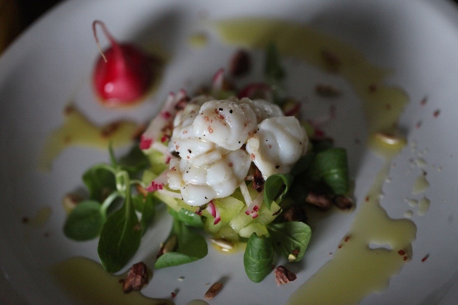 Insalata di gallinella al vapore con pomodori verdi, ravanelli e pistacchio ricetta