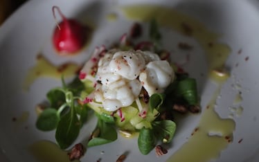 Insalata di gallinella al vapore con pomodori verdi, ravanelli e pistacchio