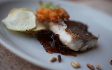 Dentice, chinotto, patata dolce chips, fior di zucca