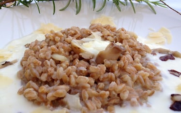 Farro ai porcini con fonduta aromatizzata al rosmarino