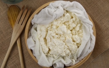 Paneer