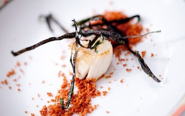 Falsi ravioli di capasante al wasabi, terra rossa e alga nori