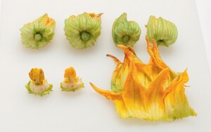 Preparazione Farfalline ai fiori di zucca con coriandoli di zucchine - Fase 2